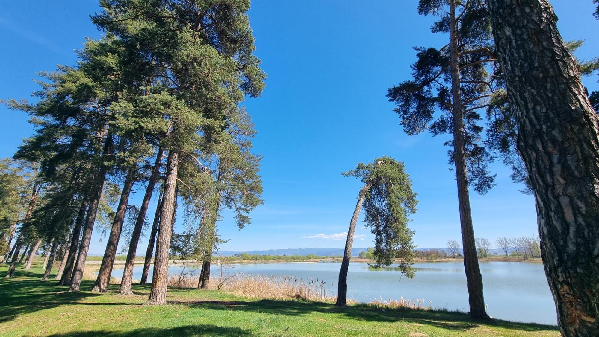Vila Casuta Din Povesti Reci Exteriér fotografie