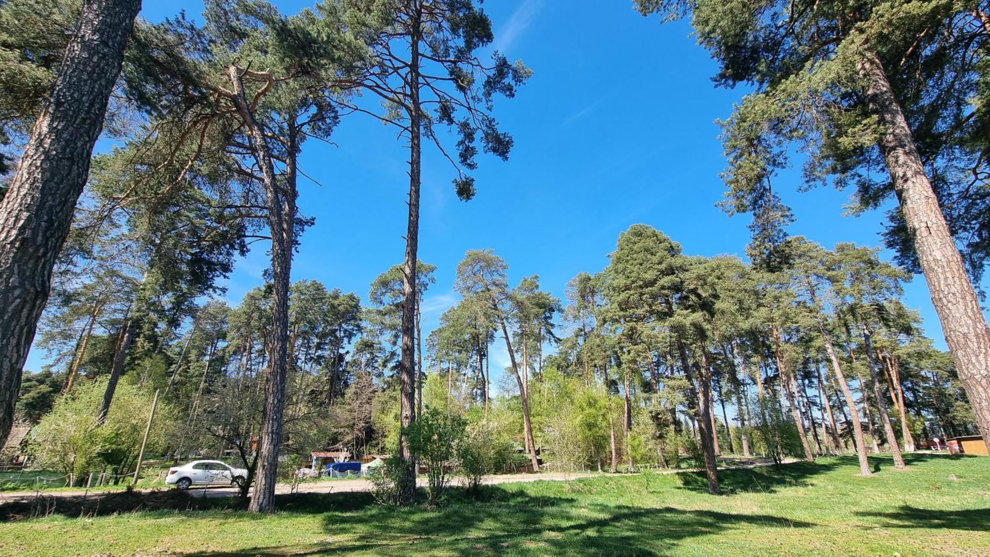 Vila Casuta Din Povesti Reci Exteriér fotografie