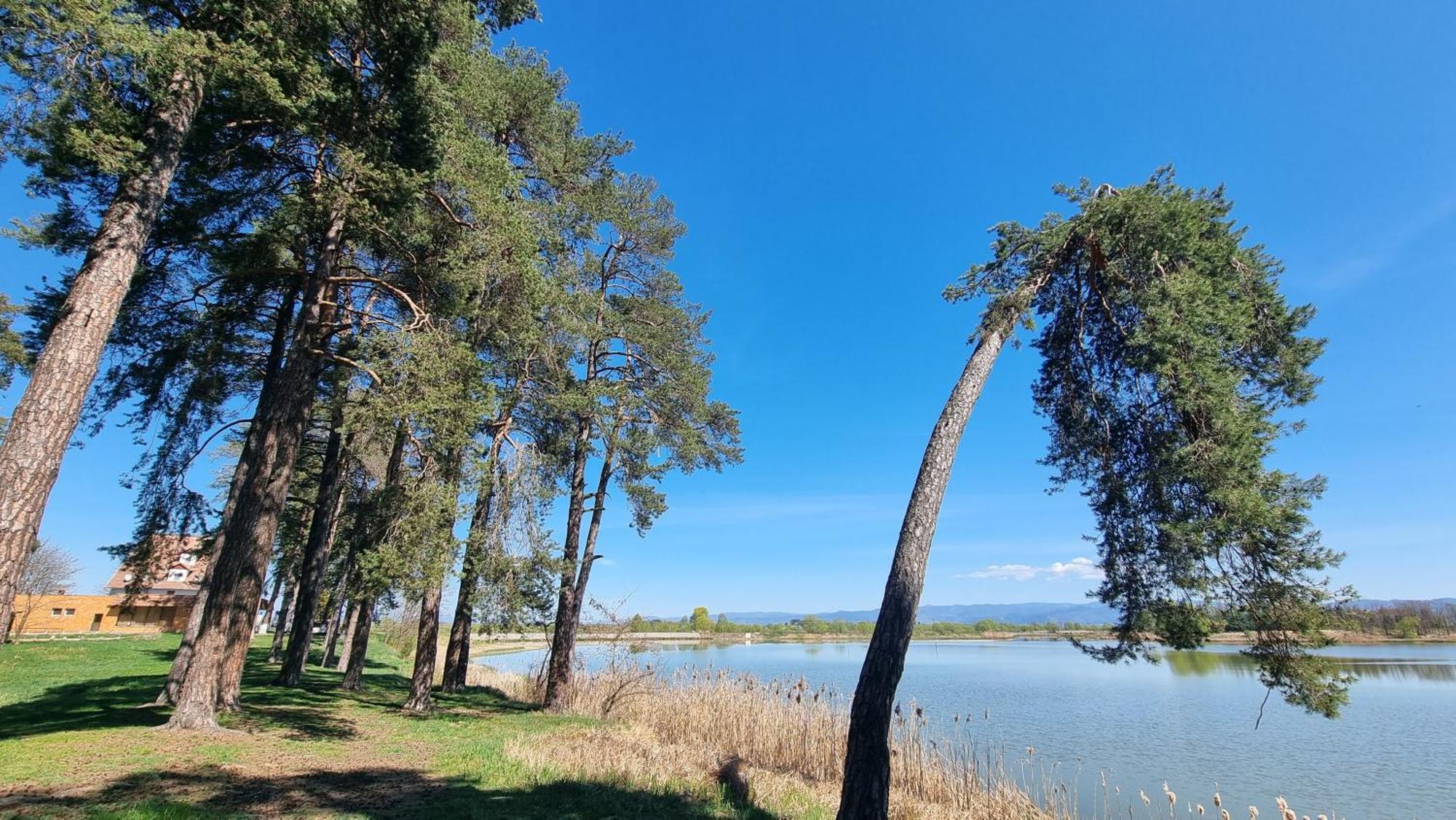 Vila Casuta Din Povesti Reci Exteriér fotografie