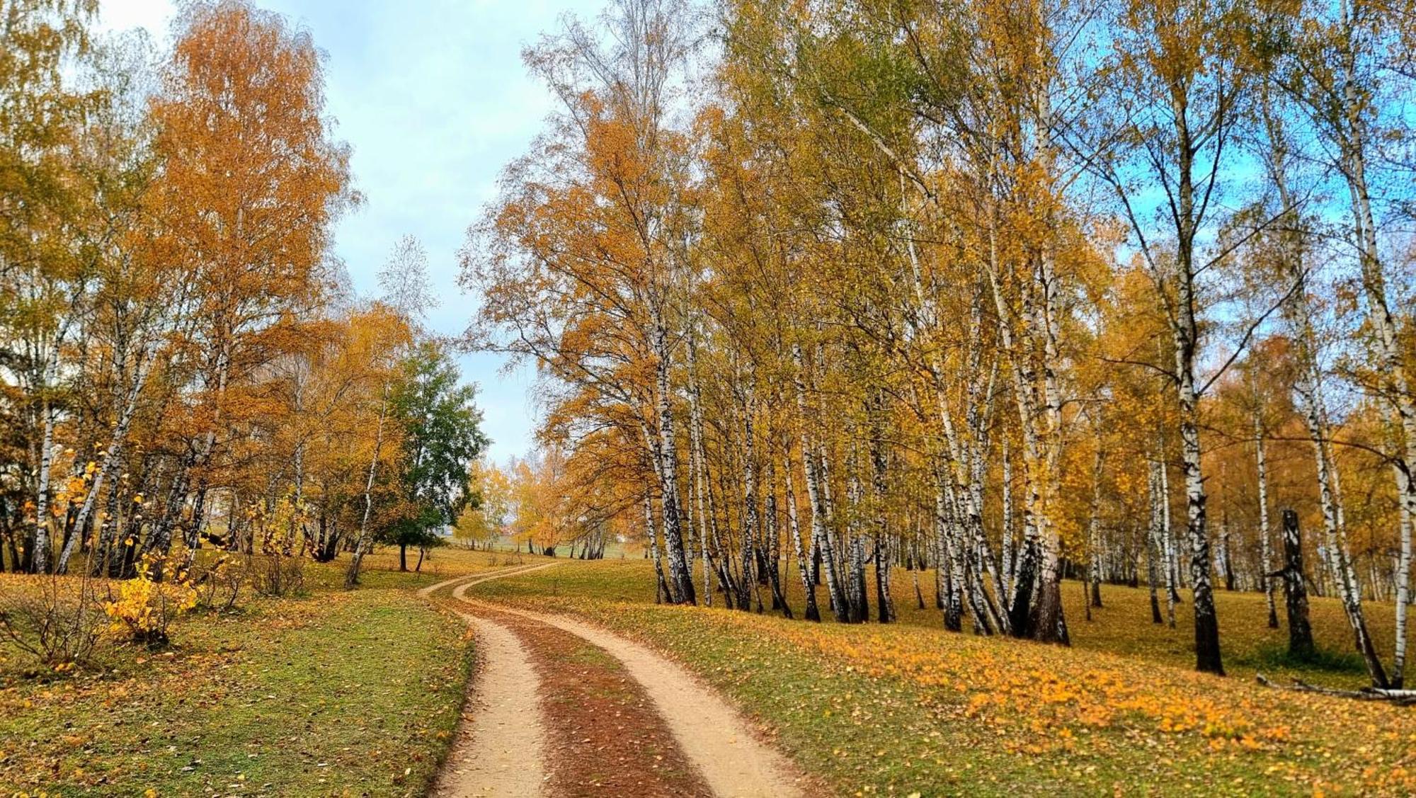 Vila Casuta Din Povesti Reci Exteriér fotografie